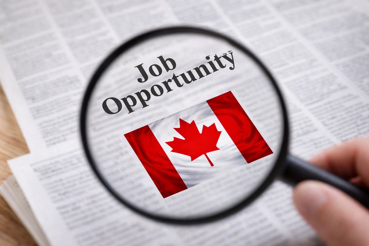 Safe Job Hunting in Canada: Tips Every Job Seeker Should Know